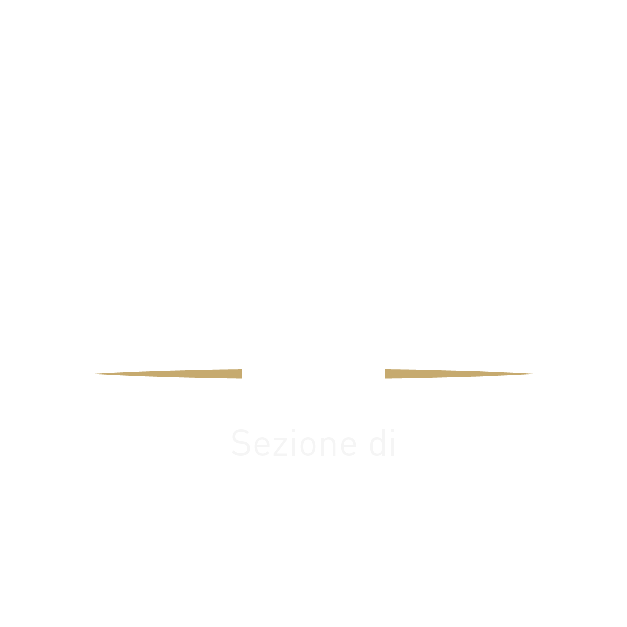 Logo AIA Como